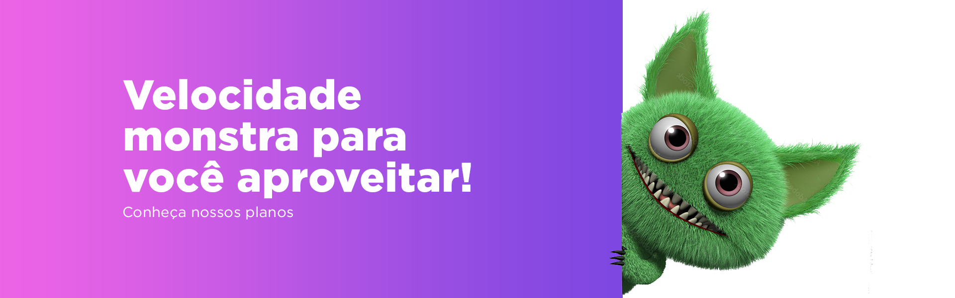 banner principal 2